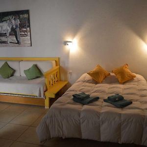 Lofts Las Margaritas